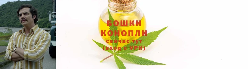 гидра вход  купить наркоту  Джанкой  Бошки марихуана SATIVA & INDICA 